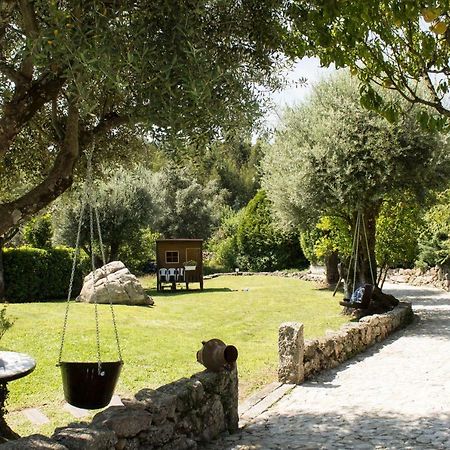 Quinta Do Meira Брага Екстериор снимка